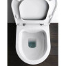 Унитаз напольный LAUFEN KARTELL (без бачка) безободковый 8.2333.6.000.000.1